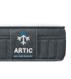 ARTIC