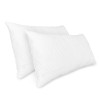 PACK ALMOHADAS VISCO COPOS